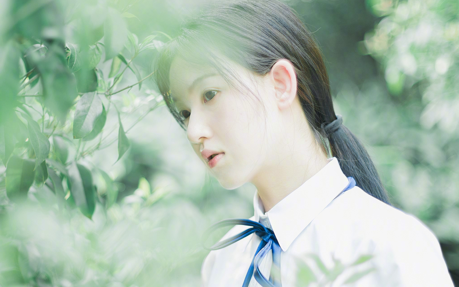 篮球风云,文班亚马巨星价值初显,骑士强势晋级对决广厦队