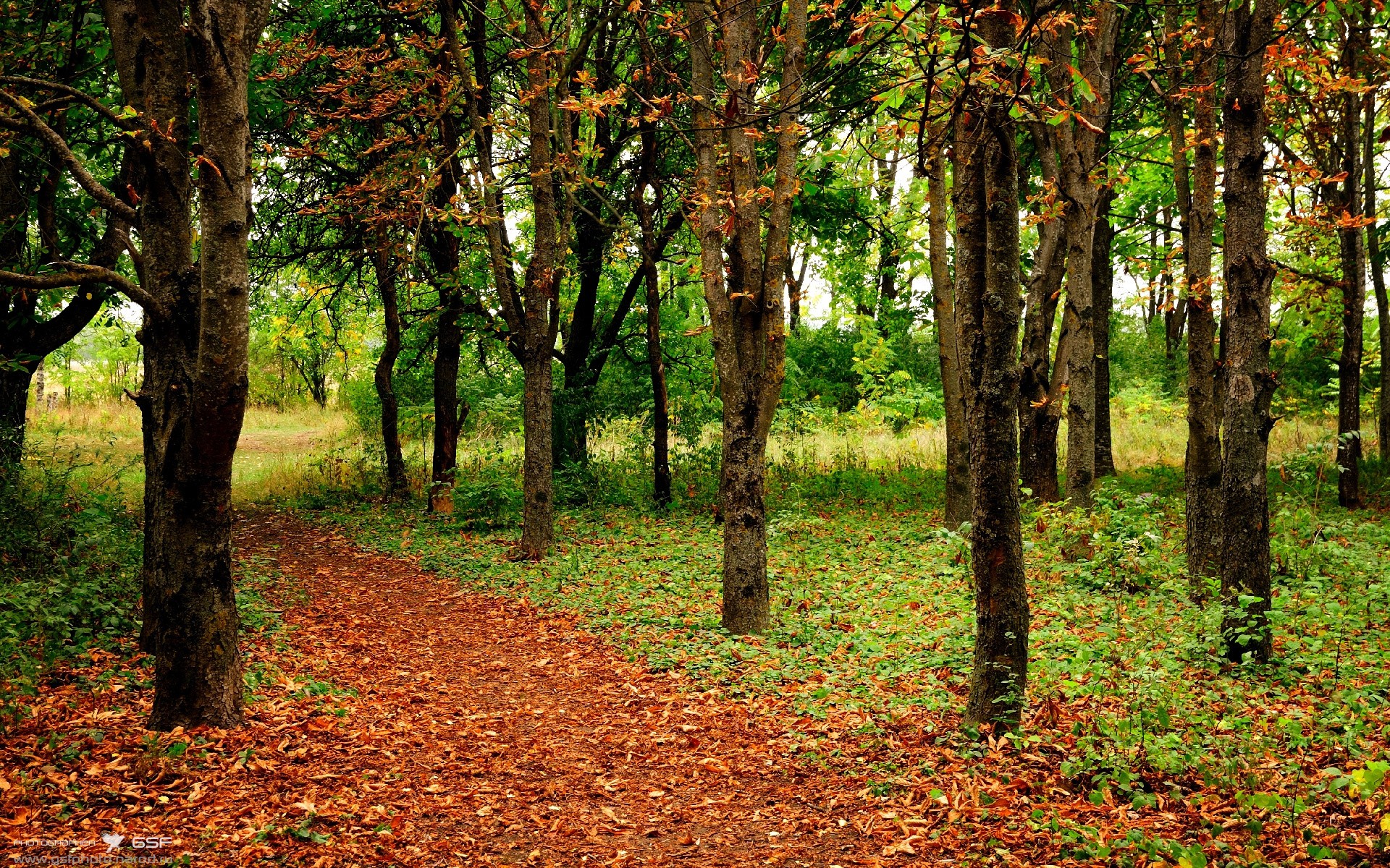 巨星闪光与团队碾压,足球世界最动人的双重奏