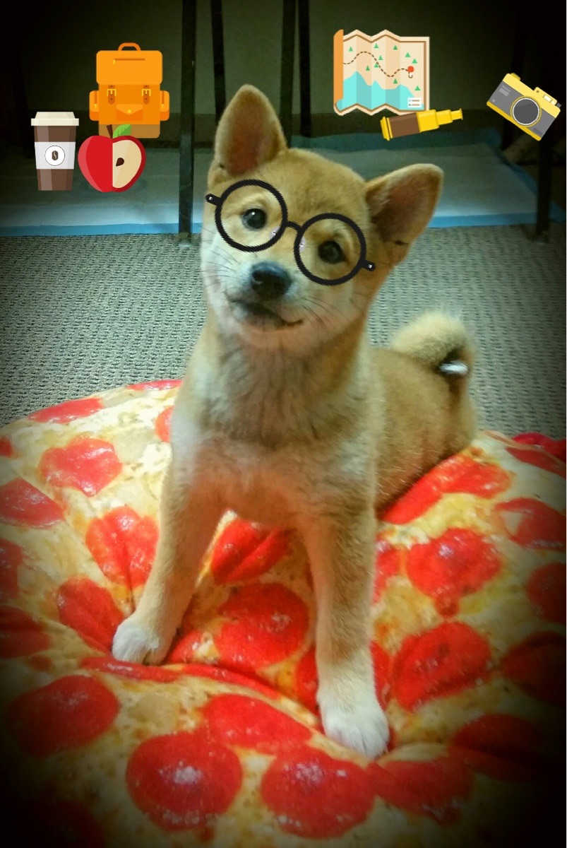 德甲争冠战之夜,奥斯梅恩稳定输出,不掉线助球队登顶